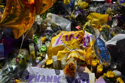 DSC_7122 (Large).JPG